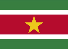 苏里南国旗