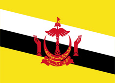 文莱国旗